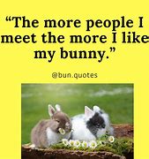 Image result for Funny Cute Baby Bunnies