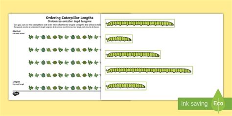 Ordering Caterpillar Lengths Activity English/Romanian - Ordering ...