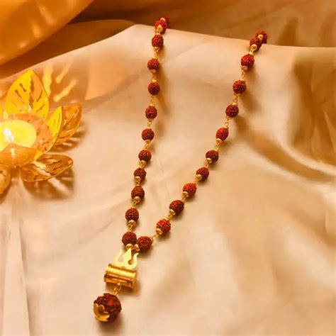 What is Rudraksha? Complete Beginner’s Guide - Dharmik