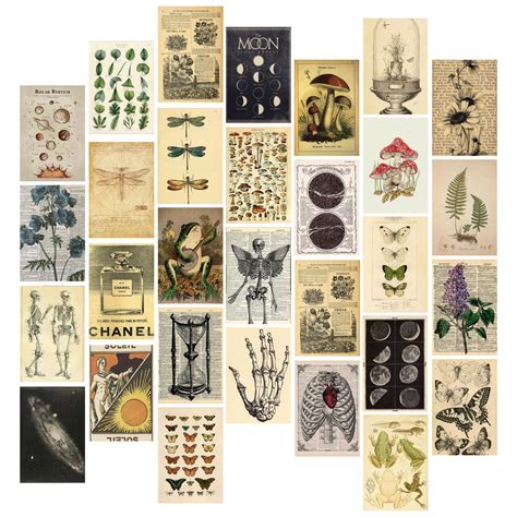 Kitty Cat Vintage Aesthetic Wall Collage Kit | 30 Unique Poster Set ...