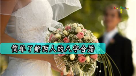 《八字合婚 中国传统婚配预测方法》_善缘老人著 - 风水大全