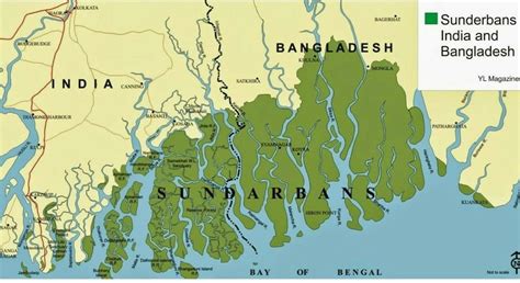 largest delta of India - Brainly.in
