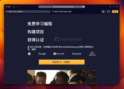 WordPress Free Code Camp 的图像结果