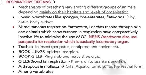 Key Notes: Breathing and Exchange of Gases - NEET PDF Download