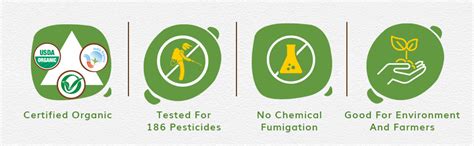 Organic Tattva Moong Dal Whole, 500g : Amazon.in: Grocery & Gourmet Foods