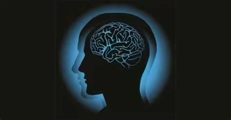 Suven Life Sciences Achieves 100% Patient Enrolment for MDD Phase-2b ...