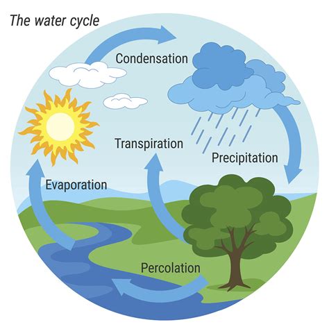 Lithosphere Definition Water Cycle at Scarlett Aspinall blog
