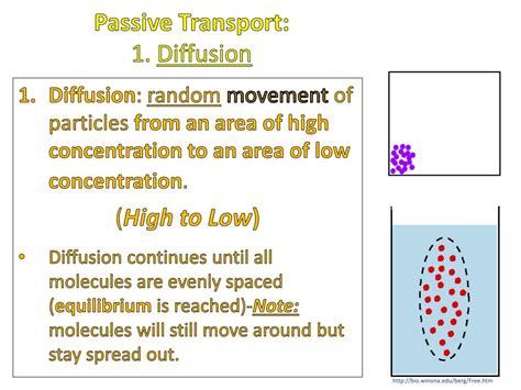 Image result for Diffusion Membrane