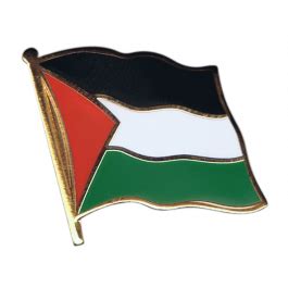 Pin's (épinglette) Drapeau Palestine - 2 x 2 cm - maison-des-drapeaux.com