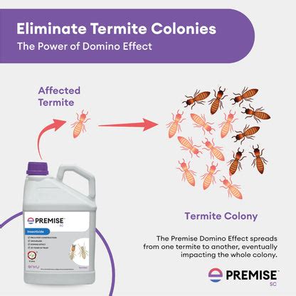 Premise For Termite Control (Deemak Killer) - 5 Litre | Anti Termite C ...