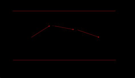 Dynamic Programming Process 的图像结果