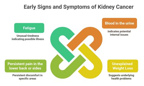 Kidney Cancer: How It Starts and How to Fight It