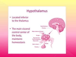 Image result for Neural Control Mechanism