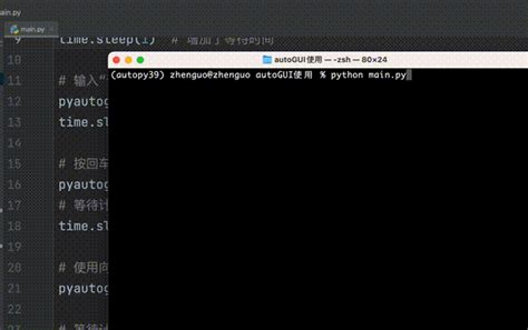 Python Auto GUI 的图像结果