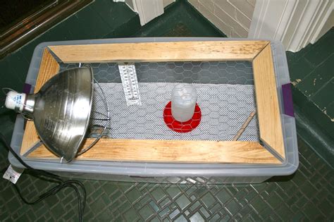 Image result for What Is Panel Brooder