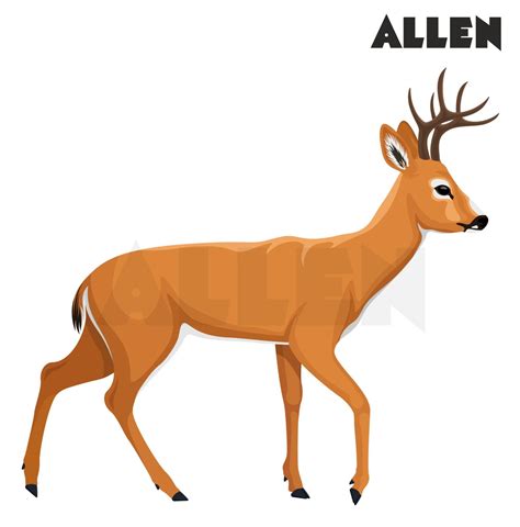 The Living Organisms: Characteristics and Habitats- Class 6 Chapter 6 CBSE Notes