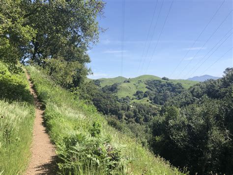 An Essential Stroll Along the Bay Area Ridge Trail - JohnVantine.com