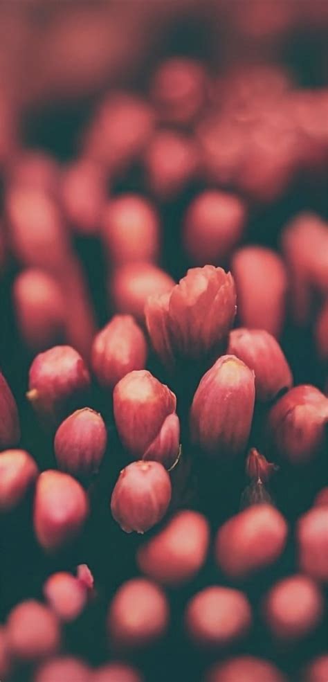 Image result for Android 14-Screen