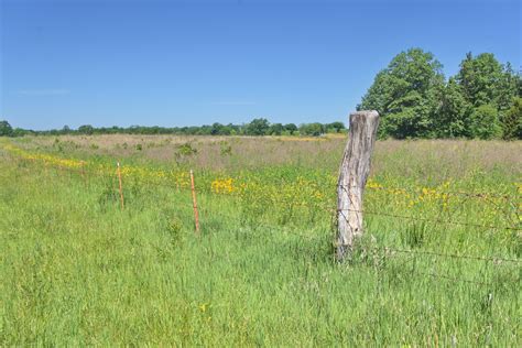 Guide to Inheriting Land in Missouri - Pine Top Land