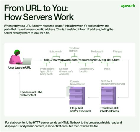 Image result for Computer Back End