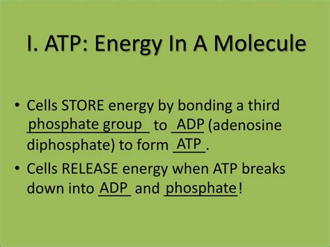 Energy Molecule 的图像结果