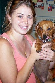 Image result for Dachshund Mix Dogs