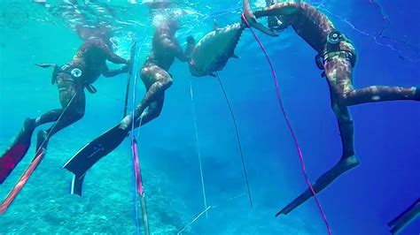 极限运动|超酷自由潜水渔猎，美女海鲜和大鲨鱼 - HelloDive潜水