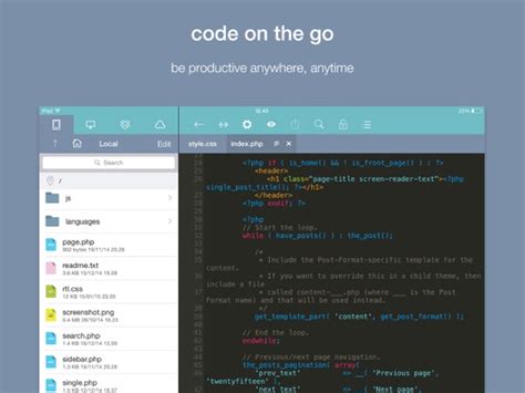 Python Code Editor iPad 的图像结果