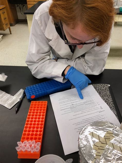 How to Process a DNA Sample 的图像结果