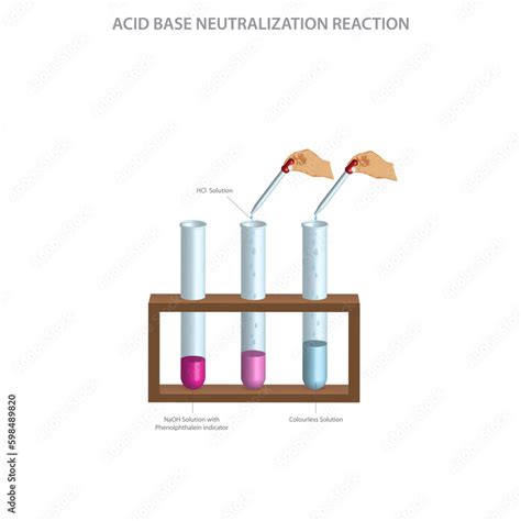 Image result for Acid and Base Neutralization