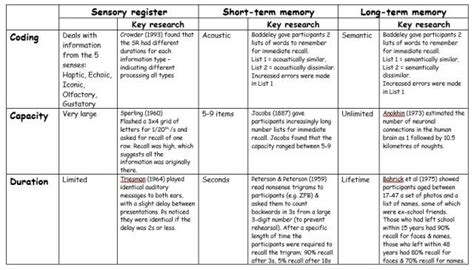 Image result for Multi-Store Memory Model OE