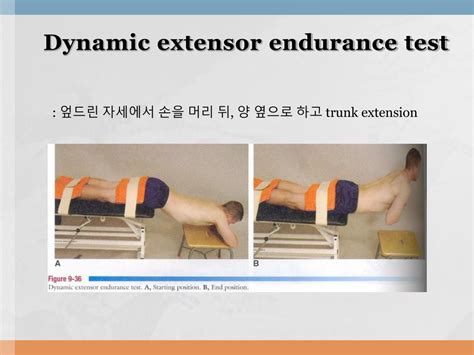 How to Muscle Test Lumbar Extensor Muscles 的图像结果
