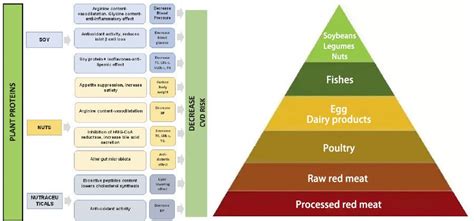 Iddsi Flow Test 的图像结果
