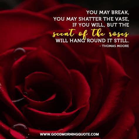Inspiring and Beautiful Rose Quotes With Images - Good Morning Quotes