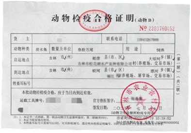2013年7月上海林业局签发的植物检疫证书（出省）_行政表彰信息_安徽金宝马家具有限公司 - 绿盾征信