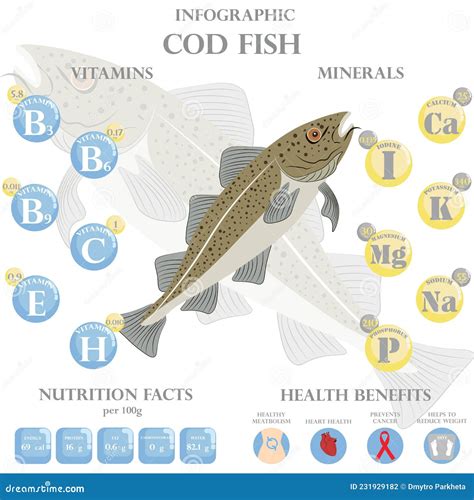 Cod Fish Nutrition Facts and Health Benefits Infographic Stock Vector ...