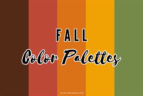 Image result for InDesign Square Color Palette