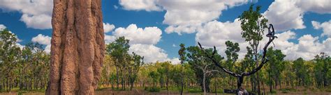 Australia 的图像结果
