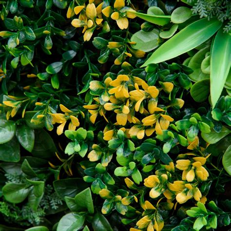 Outsunny künstliche Hecke, BxH: 50 x 7 cm, PE - hagebau.de