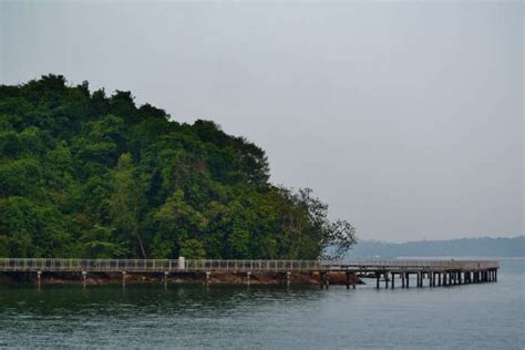 3 Things To Do Near Sungei Serangoon At Night In Singapore!