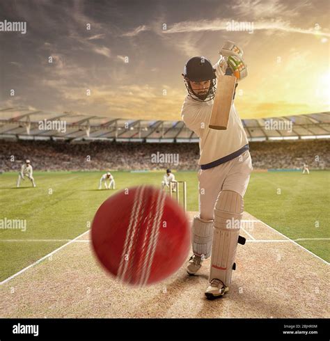 Playing Cricket 的图像结果