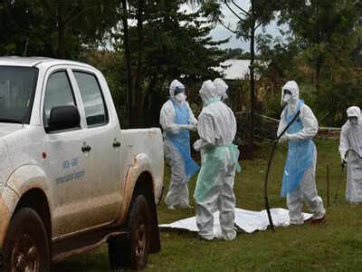 Marburg Virus: Suspected Marburg virus case in Germany traced back to ...