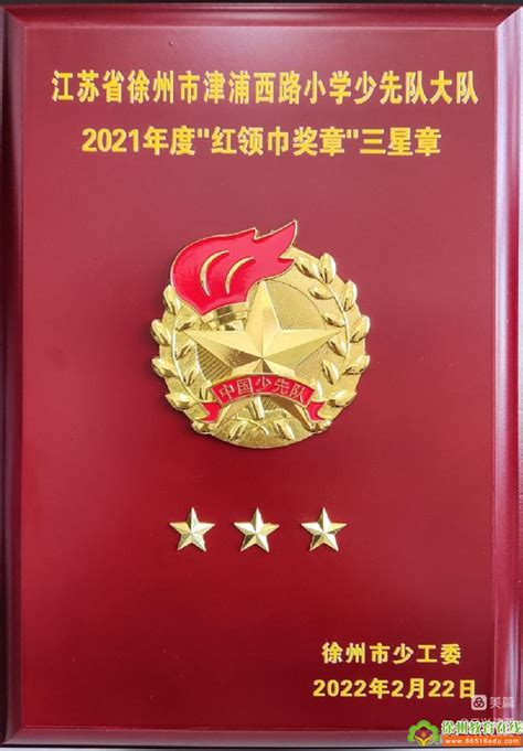 光荣！四川首次颁发的“红领巾奖章”四星章，有他们······_评选_集体_个人