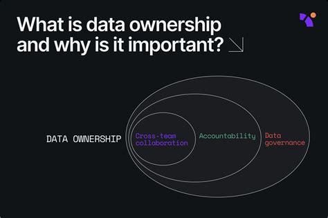 Data Ownership Icon 的图像结果