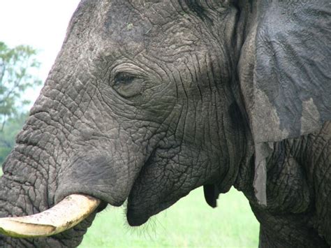 Itinerario de viaje a Namibia, Botswana, Cataratas Victoria