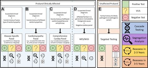 Genetic Testing 的图像结果