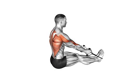 Image result for Good Back Workouts Using Bands