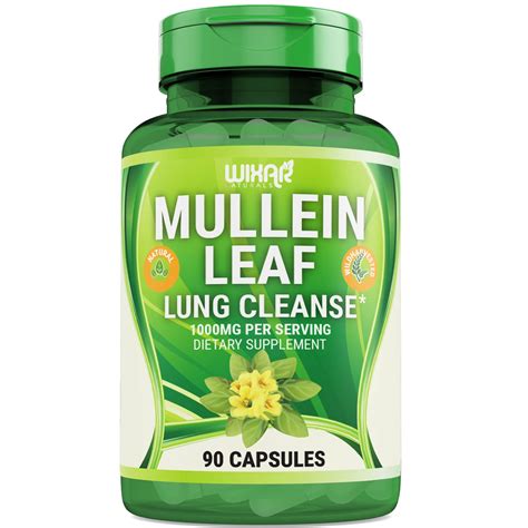 Buy WIXAR NATURALS Mullein Leaf s - 90 s - al Supplement Supports y ...