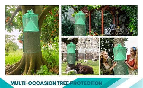 Lantern Fly Traps with Netting 的图像结果