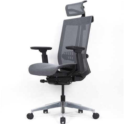 Buy Realm of Thrones Commodore Mesh Ergonomic Home Office Chair, 4D ...